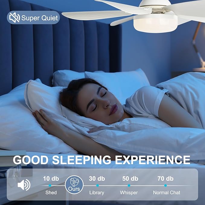2 in 1 LED Socket Fan Light