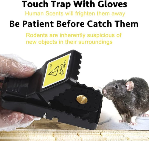 Mouse Trap