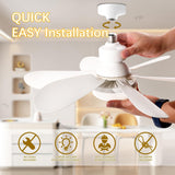2 in 1 LED Socket Fan Light