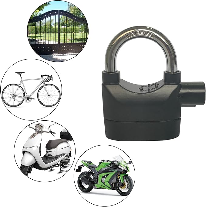 Anti-Theft Alarm Lock