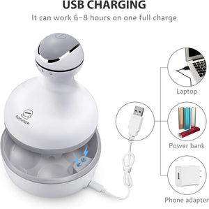Electric Scalp Massager